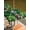 Green Gold DarkGreen, variant on Outdoor Tablecloth with Umbrella Hole and Zipper, St. Patrick's Day Rectangle Table Cloth 52x70 Inch Waterproof Tablecloth, Green Gnomes Spring Lucky Shamrocks Picnic Table Cover for Patio Camping