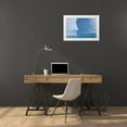 thumbnail image 3 of Paulson, Don 14x11 White Modern Wood Framed Museum Art Print Titled - South Georgia Island Albatross by an iceberg, 3 of 4
