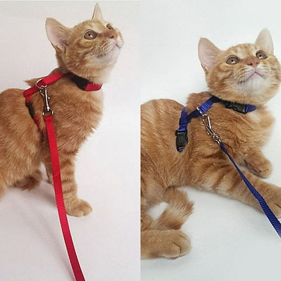 opvise Adjustable Nylon Cat Puppy Pet Harness Collar Lead Leash Traction Safety Rope Red