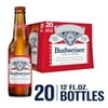 Budweiser Beer, 20 Pack 12 fl. oz. Glass Bottles, 5% ABV, Domestic Lager