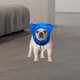 thumbnail image 4 of Gorro de invierno para perro, resistente al viento, suave, con protección contra el ruido, forro polar, bonito M, 4 of 9
