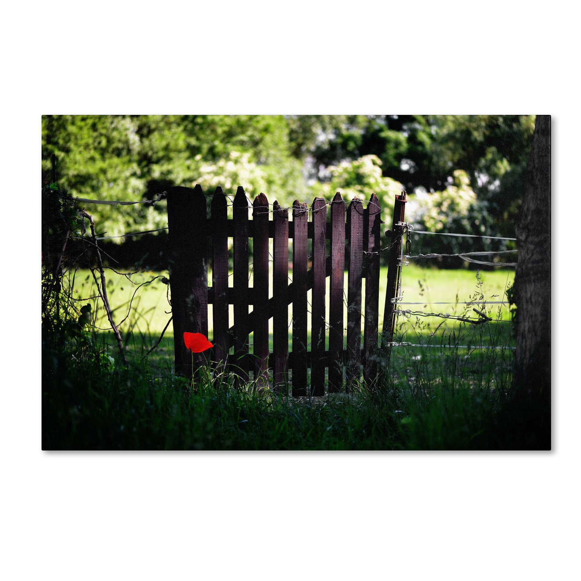 Trademark Fine Art "Press the Red Button" Canvas Art by Philippe Sainte-Laudy