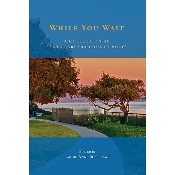 While You Wait, (Paperback)