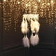 thumbnail image 2 of Decoración Eléctrico Plumas Estrellas Luna Atrapasueños Cadena de luz LED Colgante Colgante (Blanco) Tmvgtek Original, 2 of 4
