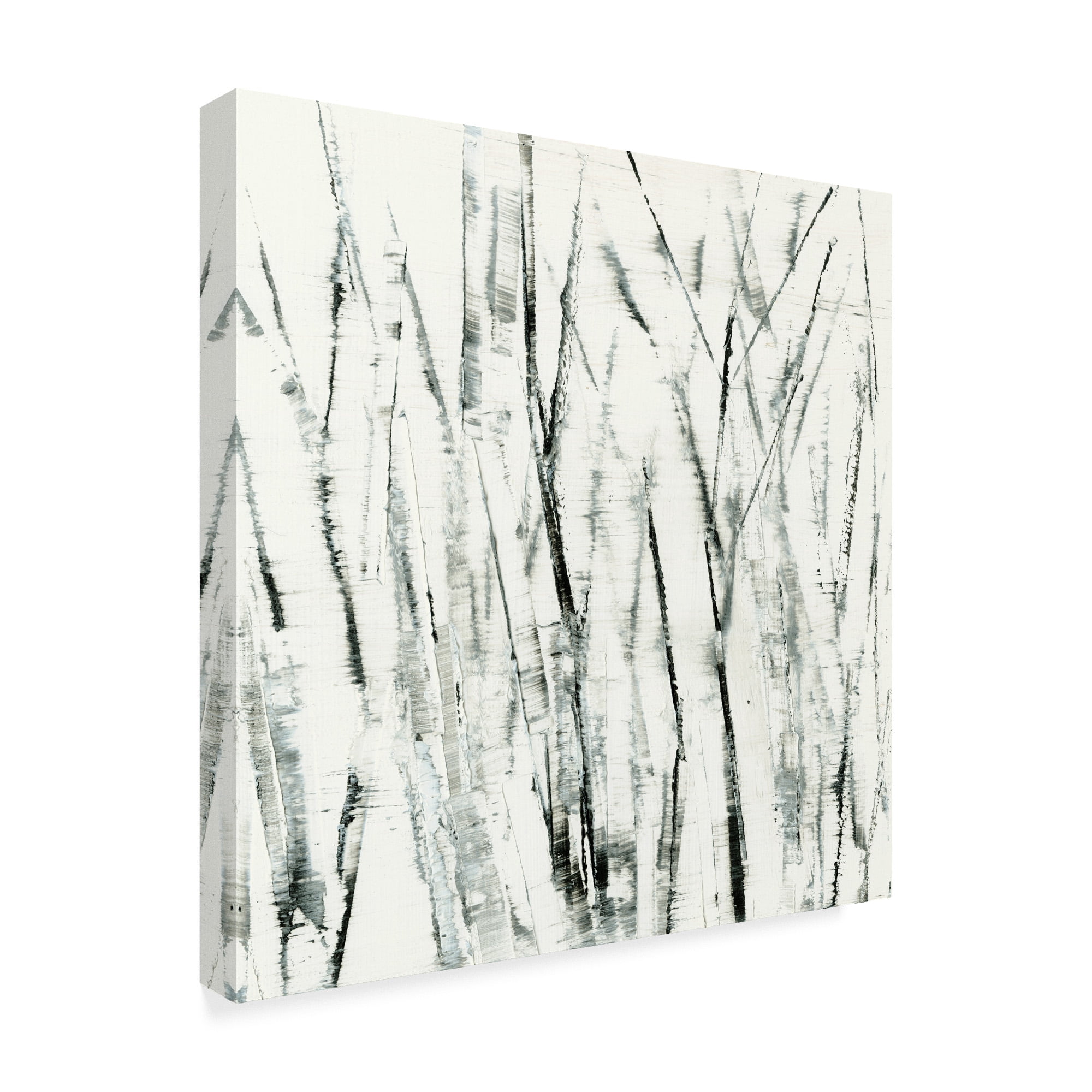 Trademark Fine Art 'Birches I' Canvas Art by Sharon Gordon