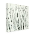 thumbnail image 2 of Trademark Fine Art 'Birches I' Canvas Art by Sharon Gordon, 2 of 4