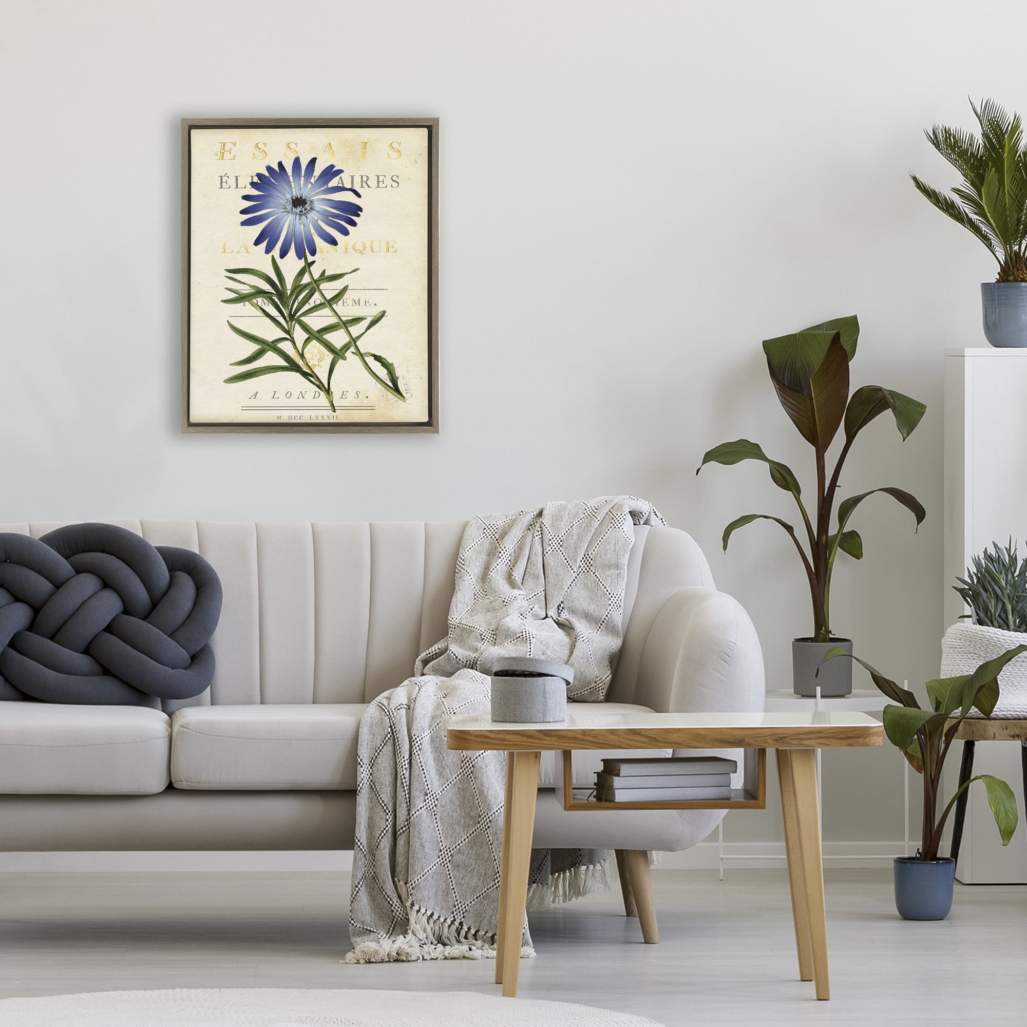 Stupell Industries Natural Botany Daisy Brown Framed Floater Canvas Wall Art, design by Susan Arnot