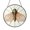 Acrylic 3.5 Inch, variant on Nature Inspired Cicada Stained Glass Panel, Circular Window Hanging Art for Artistic Cozy Interiors