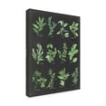 thumbnail image 2 of Trademark Fine Art 'Herb Chart on Black' Canvas Art by Chris Paschke, 2 of 3