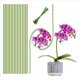 thumbnail image 3 of Estacas para Plantas, Estacas de Soporte para Plantas Adecuadas para Plantas de Interior, 40 Piezas de Palos para Plantas de Tallo Único Flexibles de Color Verde para Jardín, 3 of 5