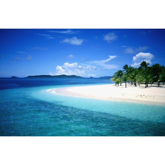 Palm Trees On A Small Island Canvas Art - Luke White  Design Pics (34 x 22)