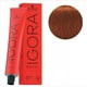thumbnail image 3 of Tinte Igora Royal 6-77 Schwarzkopf Rubio oscuro cobre extra 60 ML, 3 of 3