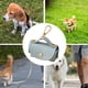 thumbnail image 3 of Dispensador de bolsas de cuero para excrementos de perro, portátil y reutilizable, ideal para bolsas de excrementos de perro, bolsas para excrementos de perro y bolsas para excrementos de perro U3Y7, 3 of 7