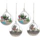thumbnail image 1 of 2025 Terrarium?en?Verre?Suspendu?4?Pices?Grande?Ouverture?Vase?Plante?Boules?10cm?Fleur?Vase?Pot?Boules?, 1 of 1