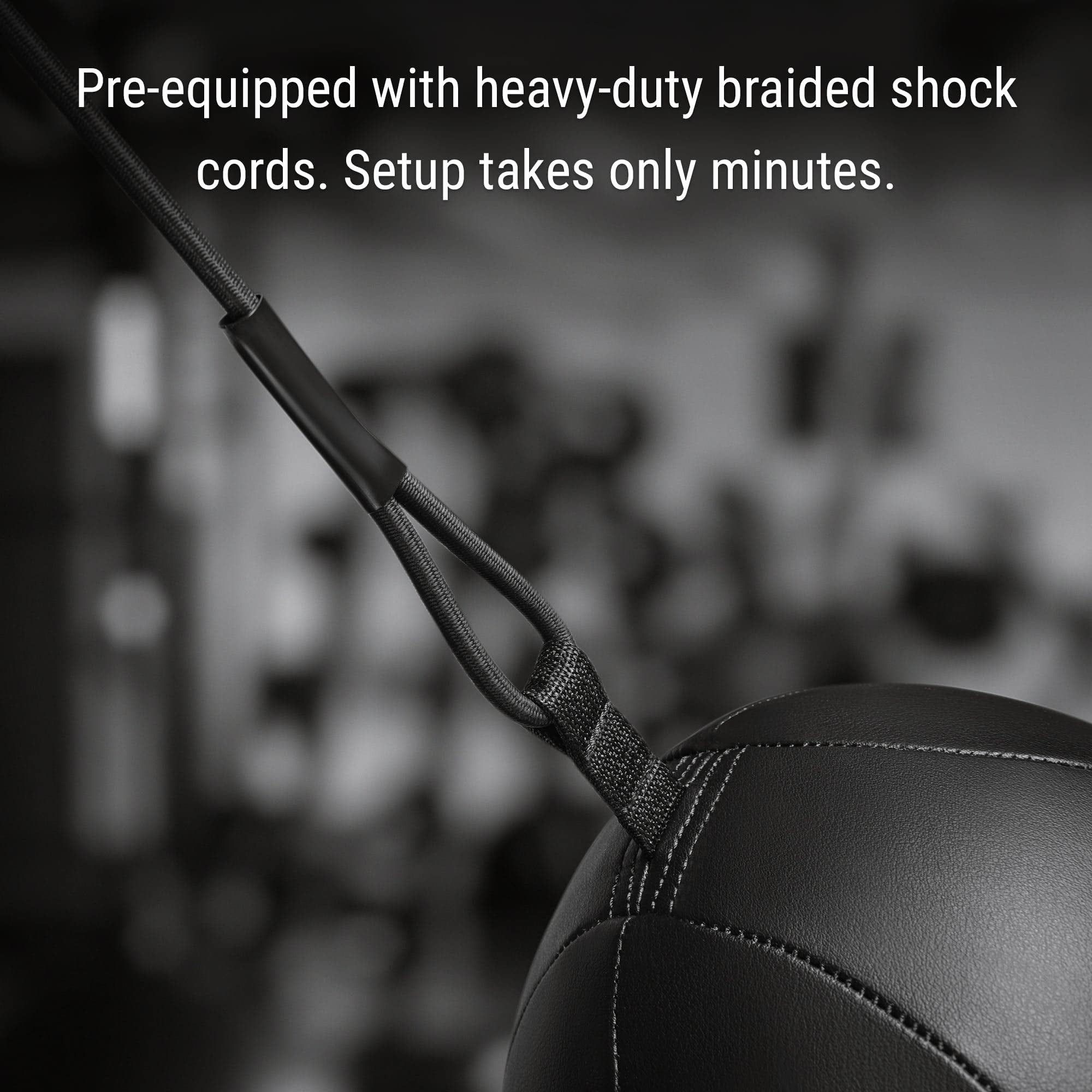 Hayabusa Double Ended Bag Classic Sphere - Black, 12 Inches