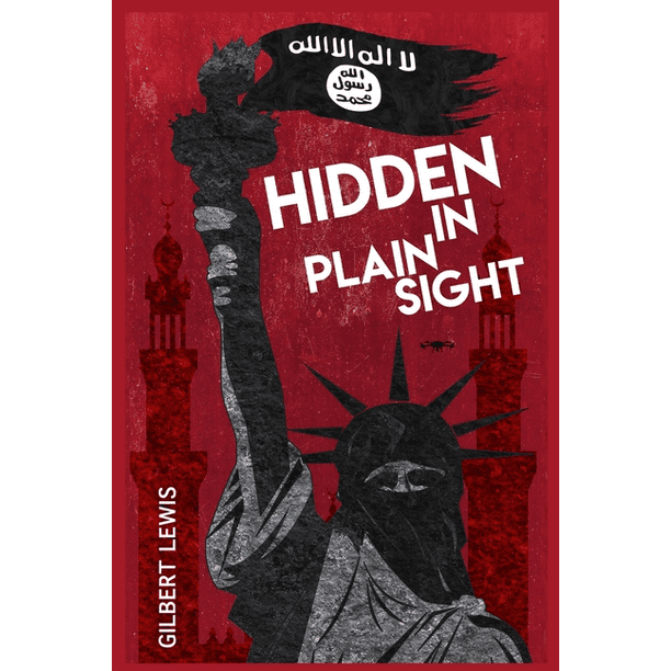 Hidden in Plain Sight (Paperback)