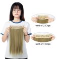 thumbnail image 3 of 24" Straight Curly Wavy 3 Pieces Hair Extensions Natural Straight Clip In Synthetic Hair Extentions Soft Reusable Hairpieces for Women Girls Beauty -200g, 3 of 4