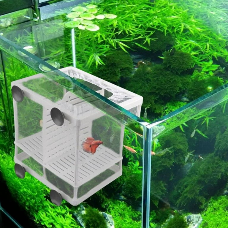 Sweetcandy Fish Nursery for Aquarium-Fish Breeding Net Hang On Breeder Box, Size: Small