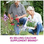 Caltrate Bone Health 600+D3 Chocolate Calcium Soft Chews, 60 Ct