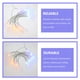 thumbnail image 2 of KAKOWELY 3 piezas de adornos de manga de viento de esqueleto de Halloween para colgar en el jardín, luces de manga de viento para exteriores, 2 of 5