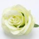 thumbnail image 3 of 10 Piezas Cabezas de Flores Rosas Artificiales de Decoración para Celebraciones verde claro, 3 of 9