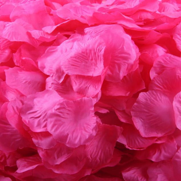 100 Fuchsia Color Rose Petal Weddings Party's Table Decoration Confetti Favors 