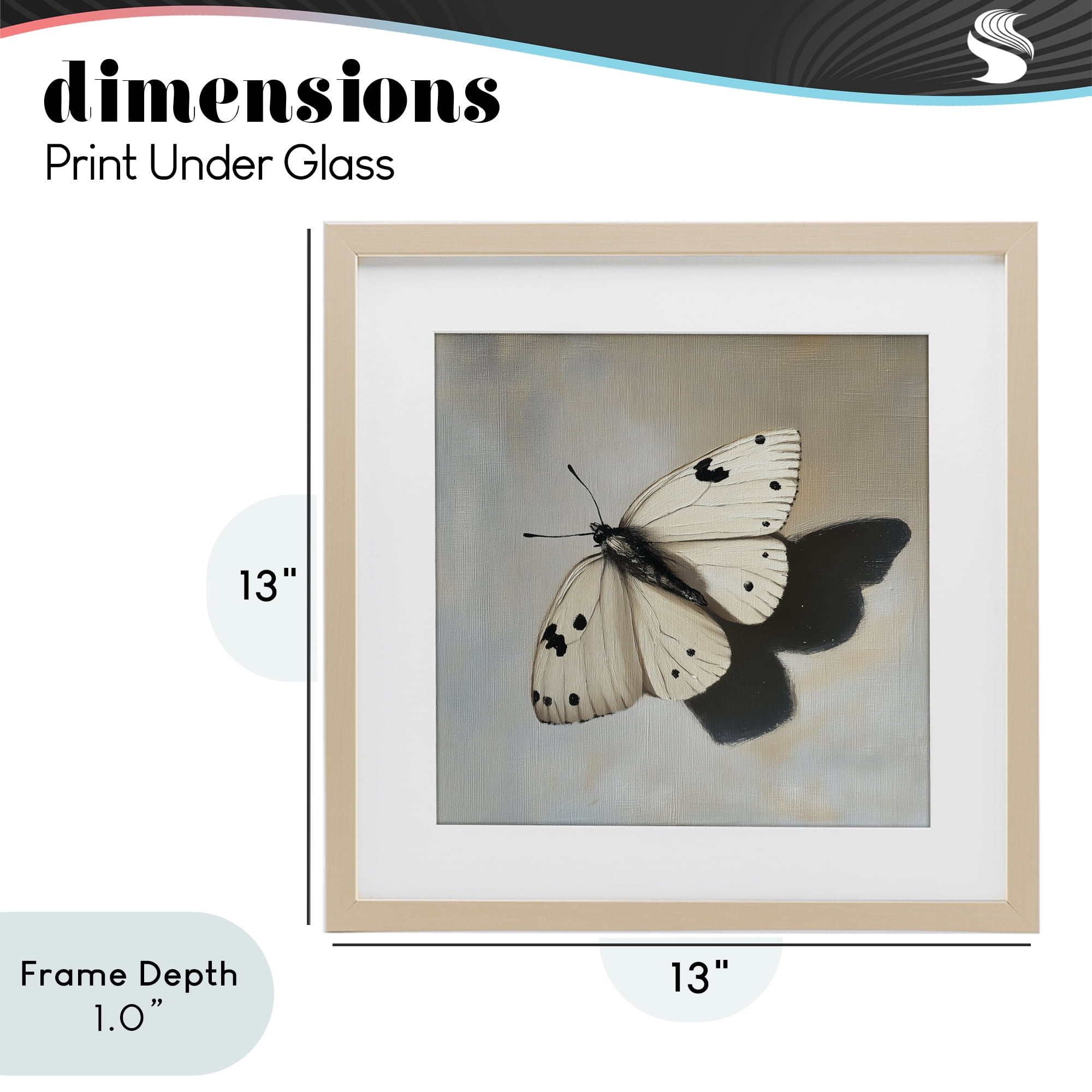 Stupell Industries Velvet's Butterfly Wings Birch Framed Print Under Glass, design by Svetlana Aleynikova