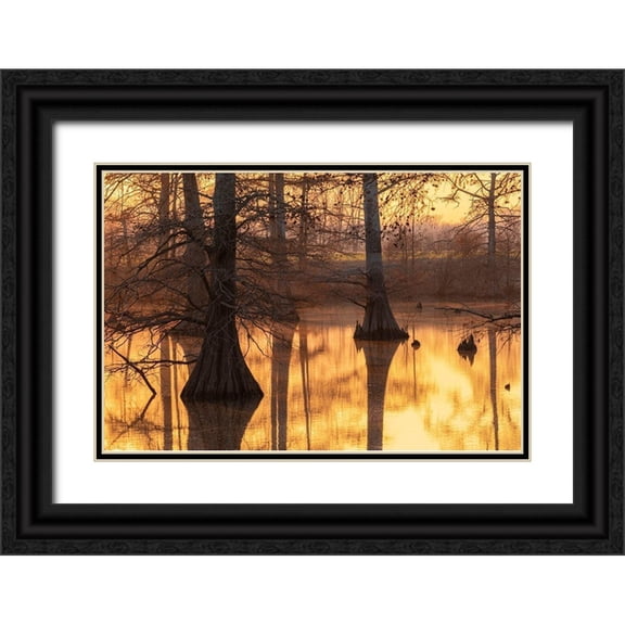 Day, Richard and Susan 32x23 Black Ornate Wood Framed with Double Matting Museum Art Print Titled - Cypress trees at sunset in fall Horseshoe Lake State Fish and Wildlife Area-Alexander County