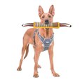 thumbnail image 4 of CBFFDC Dog Training Toy Reflective Dog Training Toy Multipurpose Tear Resistant Interactive Pet Training Toy Pet Supplies, 4 of 7