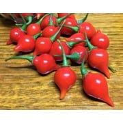 Red Biquinho Pepper Seeds/Full Sun/Perennial/30 Seeds 1/4 Gram/Zellajake Farm and Garden - B358