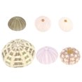thumbnail image 2 of 6pcs Sea Urchin Decors Aquarium Decorations Sea Urchin Ornaments Desktop Decors Mixed Style, 2 of 6