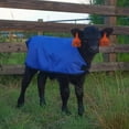 thumbnail image 5 of Jeffers Livestock Water Resistant Insulated Calf Blanket 26" – 200G Polyfill Quilted Winter Calf Jacket with Adjustable Straps – Durable Cold Weather Calf Cover – Farm Supplies, Blue 1 Pack, 5 of 7