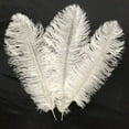 thumbnail image 1 of 5/10/25 Pcs Plumes de Plumes d'Autruche Douces Costumes Fête Décoration Maison Mariage, 1 of 10