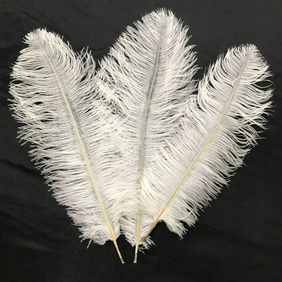 5/10/25Pcs Soft Ostrich Feathers Plumes Costumes Party Home Wedding Decoration