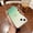 Green, variant on Dteck iPhone 13 Pro Max Case (6.7 inch 2021 Release), Fashion Gradient Rugged PC Backplane Slim & Light Case [Wireless Charging] Wear-resistant Anti-finerprint Frosted Case For iPhone 13 Pro Max, Gray