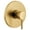 Brushed Gold, variant on Moen Ut3291 Align 1 Function Pressure Balanced Valve Trim Only - Gold