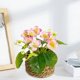 thumbnail image 4 of Jardinera de flores artificiales Decoración primavera-verano - Arreglo floral en maceta falsa con huevos, follaje de plástico, maceta blanca, decoración de escritorio de 14x12cm para despacho en casa, 4 of 7