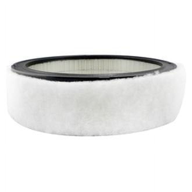 Air Element with Foam Wrap Baldwin PA2073
