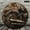 12x12in, variant on Patifu Rusty Vintage Motorcycle Wheel Wall Clock Silent Sweep Movement Durable Wood Decor 10x10in