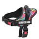 thumbnail image 1 of Cute Pet Harness Collar For Puppy And Kitten Small Dog Reflective Vest Harness Outdoor Walking Anti-loss Corgi Labrador Chihuahu ShopWise Round, 1 of 24