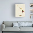 thumbnail image 2 of Trademark Fine Art Michael Tompsett Hawaii Map Canvas Wall Art - 35x47, 2 of 5