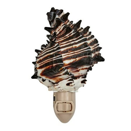 

TheSeashellCompany Murex Shell Night Light