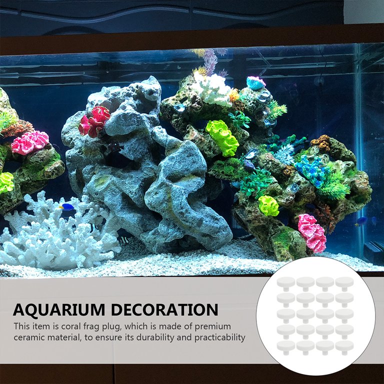 20 Pcs Mushroom Decor Rock Coral Glue Reef Safe Coral Nurture