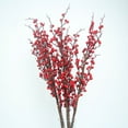 thumbnail image 1 of Planta Artificial Bayas Rojas Artificiales Planta Artificial Simulación Bayas DIY Bayas Falsas Festival Decoración Para Navidad Hogar Tipo 1 Anggrek Otros, 1 of 1