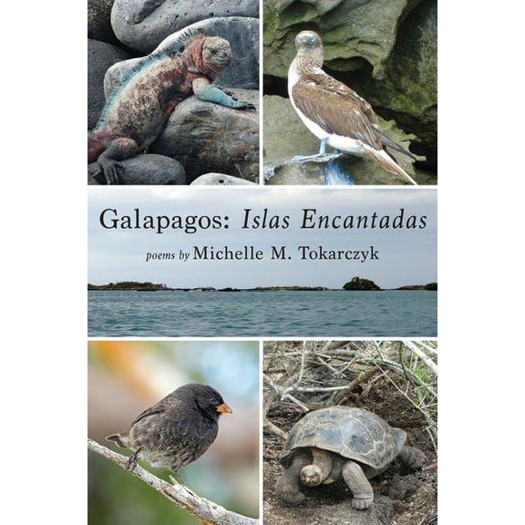 Galapagos: Islas Encantadas, (Paperback)