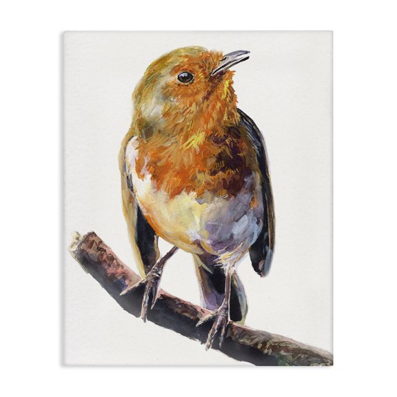 Stupell Industries Farmhouse Orange European Robin Perched Bird Portrait Canvas Art, 16 x 20, by George Dyachenko