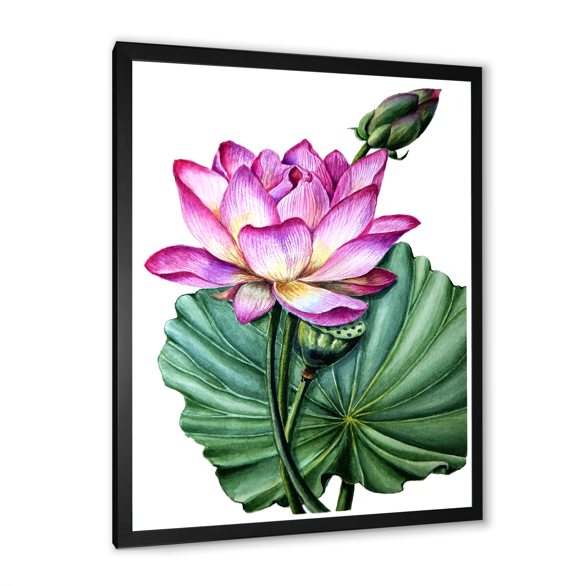 Designart 'Ancient Pink Lotuses In The Pond VI' Traditional Framed Art Print
