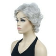 thumbnail image 3 of Women's Short Curly Wavy Wig Synthetic Hair Full Wig for Daily Use, 6 inches, Silver Grey, 3 of 11