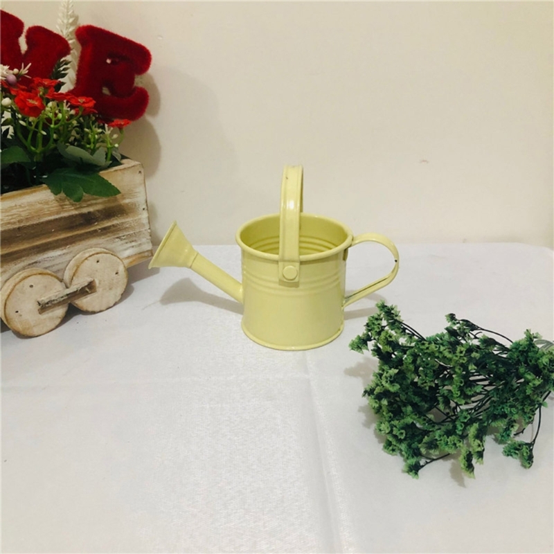 lanema 6Pcs Vibrant Mini Watering Can With Handle Durable Galvanized Iron For Garden