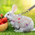 thumbnail image 4 of Breathable Mesh Pet Leash, Adjustable Traction Harness With Vests Style Design, for Small Animal, Gray, 4 of 6